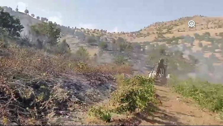 Bingöl'deki orman yangını söndürüldü - Resim: 5